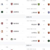 谁的赛程更好？中超仅剩6轮，蓉城申花，国安海港下轮直接对话