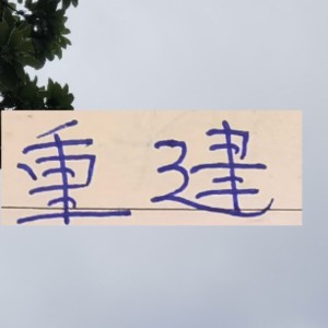 海星体-淘汰了申花！走到足协杯决赛！河南今年依然要重建 都抄海港作业